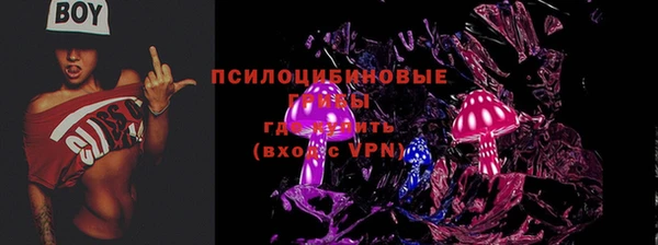 прущая мука Мегион