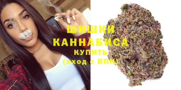 прущие крисы Медвежьегорск