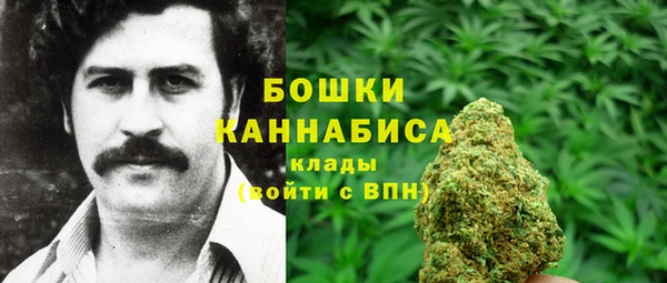 гидра Похвистнево
