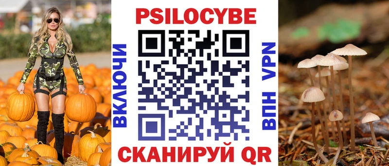 Галлюциногенные грибы мухоморы  mega ссылки  Туапсе 